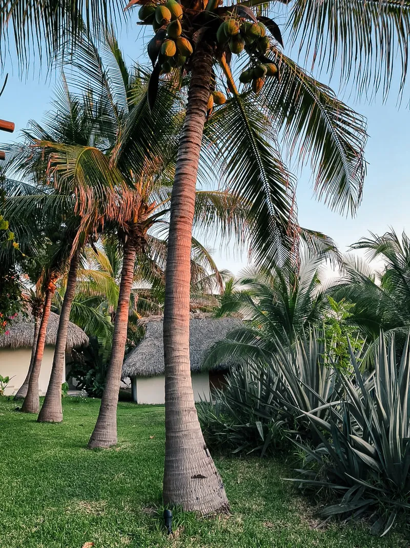 Puertecito Bungalow Retreat image